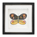 Melrose Framed Butterfly Block Wall Decor, Modern, Wood
