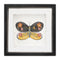 Melrose Framed Butterfly Block Wall Decor, Modern, Wood