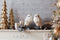 Melrose Winter Owl Decor (Set of 2)