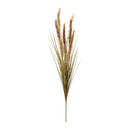 Melrose Foxtail Grass Bush (Set of 6)