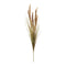Melrose Foxtail Grass Bush (Set of 6)
