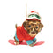 Melrose Glittered Snowboarding Dog Ornament (Set of 6)