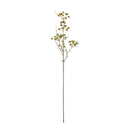 Melrose Winter Berry Pod Spray (Set of 12)