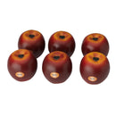 Remo ‘Fruit’ Style Large Apple Hand Shaker – 6-Piece Bag – SC-APLG-06
