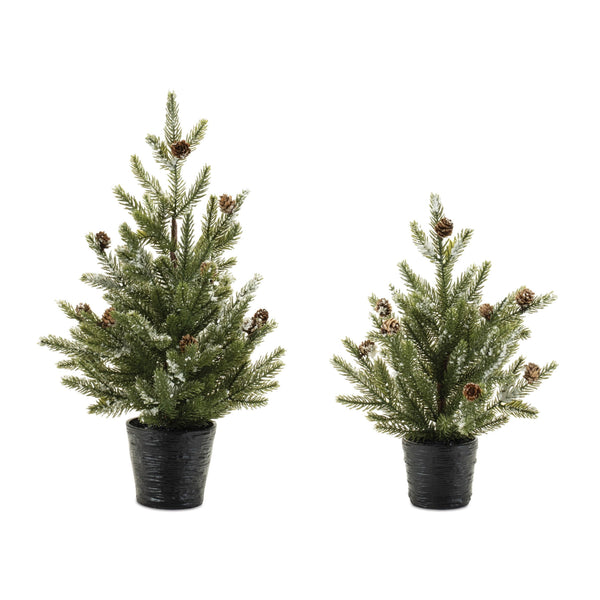 Melrose Potted Mini Pine Tree (Set of 2)