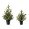 Melrose Potted Mini Pine Tree (Set of 2)