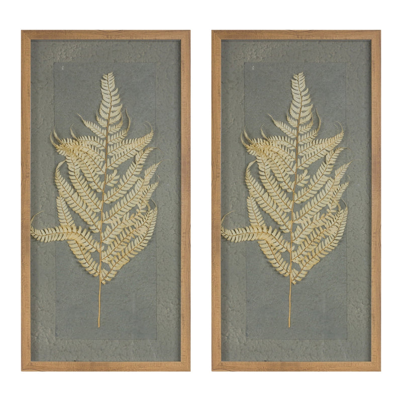 Melrose Dried Fern Frame Wall Decor, Modern, Rustic, Wood
