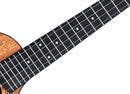 Twisted Wood EM-600C Ember Concert Ukulele Solid Mahogany w/ Gig Bag