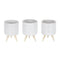 Melrose Porcelain Face Planter with Wooden Legs Set of 3 Planter, Face