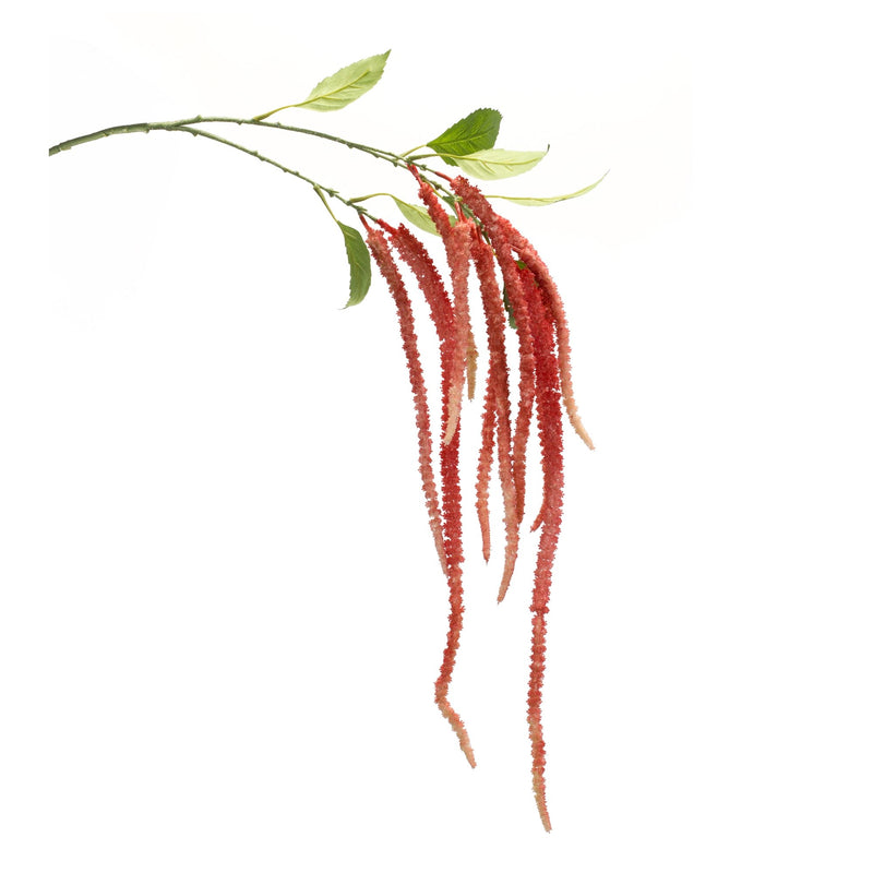 Melrose Amaranthus Floral Stem (Set of 4)