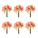 Melrose Amaryllis Flower Stem (Set of 6)