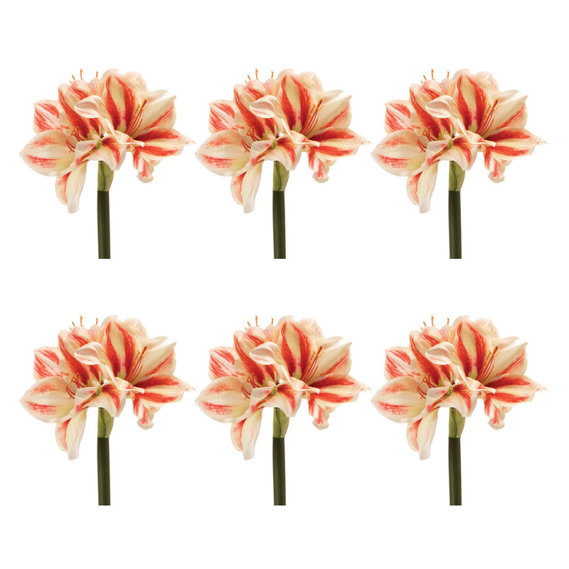 Melrose Amaryllis Flower Stem (Set of 6)