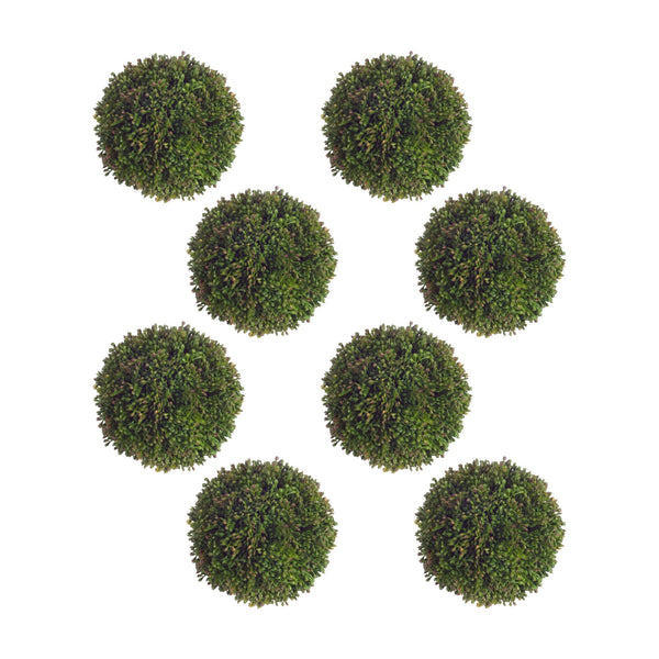 Melrose Boxwood Sedum Orb (Set of 8)