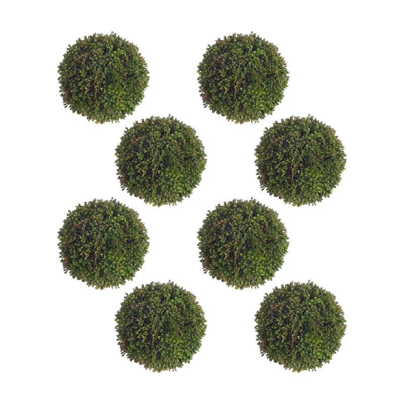 Melrose Boxwood Sedum Orb (Set of 8)