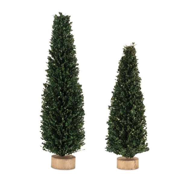 Melrose Glittered Boxwood Cone Tree (Set of 2)