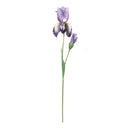 Melrose Iris Floral Stem (Set of 2)
