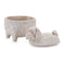 Melrose Dog Box (Set of 4)