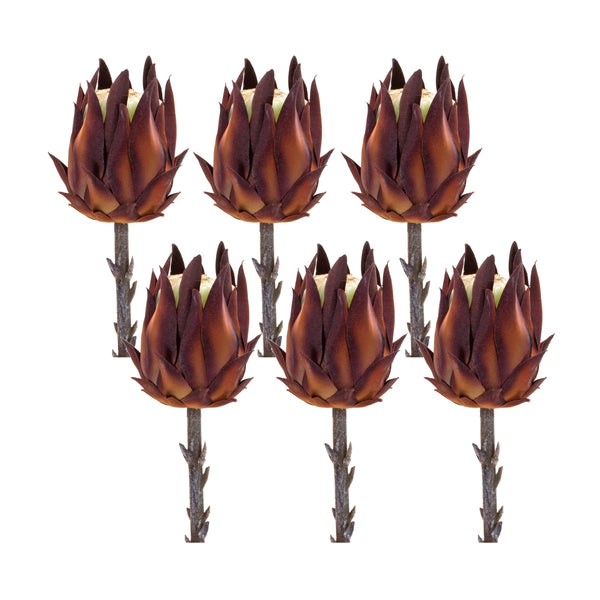 Melrose Burgandy Protea Stem (Set of 6)