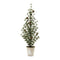 Melrose Potted Mini Pine Tree (Set of 2)