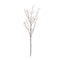 Melrose Birch Twig Branch (Set of 6)