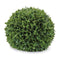 Melrose Boxwood Foliage Orb 13"D