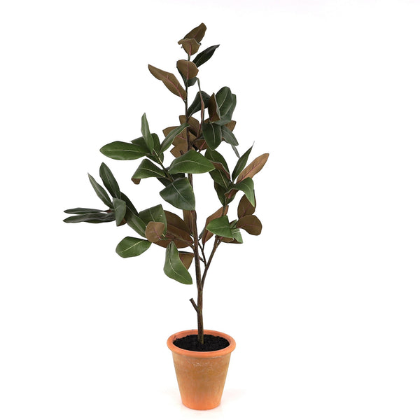 Melrose Potted Magnolia Tree Topiary 22"H