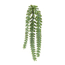 Melrose Hanging Sedum Succulent Spray (Set of 12)