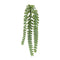 Melrose Hanging Sedum Succulent Spray (Set of 12)