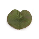 Melrose Assorted Bag of Leaves Filler (Set of 12)