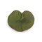 Melrose Assorted Bag of Leaves Filler (Set of 12)