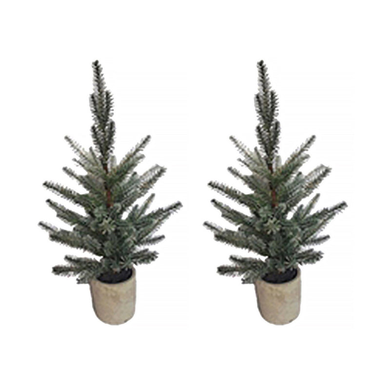 Melrose Pine Tree in Plastic Pot (Set of 2)