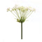 Melrose Queen Anne's Lace Stem (Set of 2)