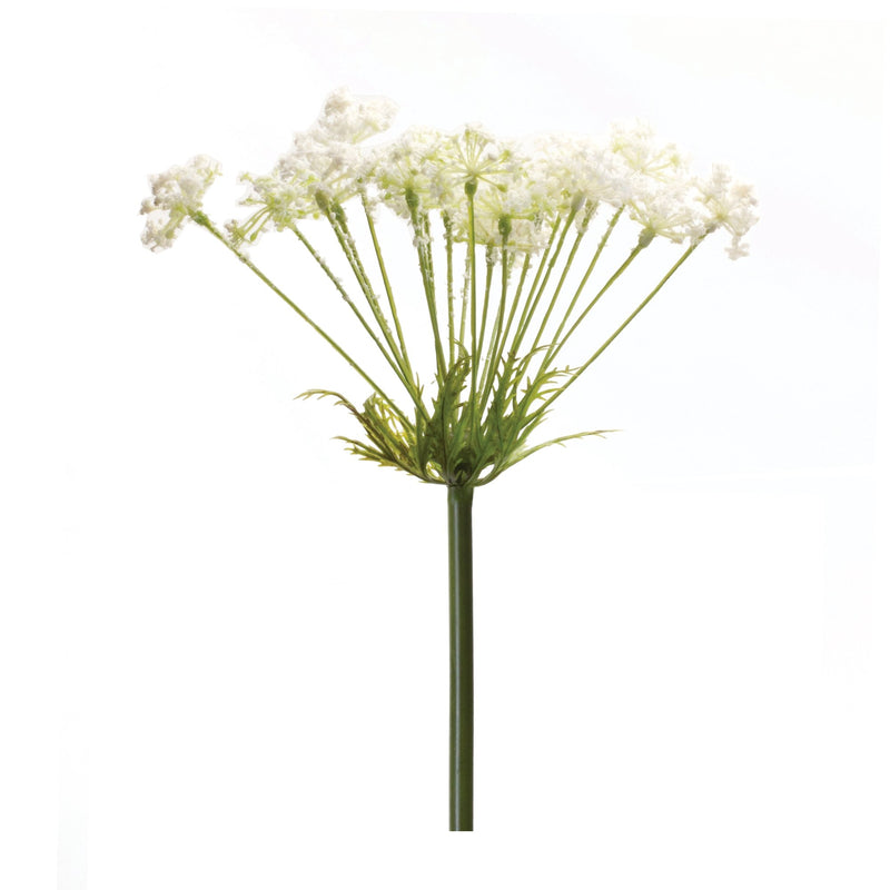 Melrose Queen Anne's Lace Stem (Set of 2)
