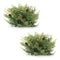 Melrose Cedar Pinecone Half Orb (Set of 2)