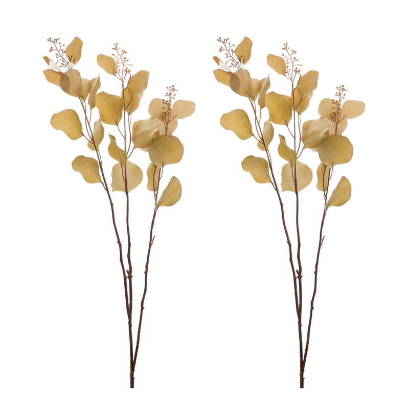 Melrose Seeded Eucalyptus Stem (Set of 2)