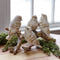 Melrose Gold Brushed Birds on a Branch Figurine (Set of 2)