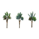 Melrose Succulent Bundle (Set of 6)