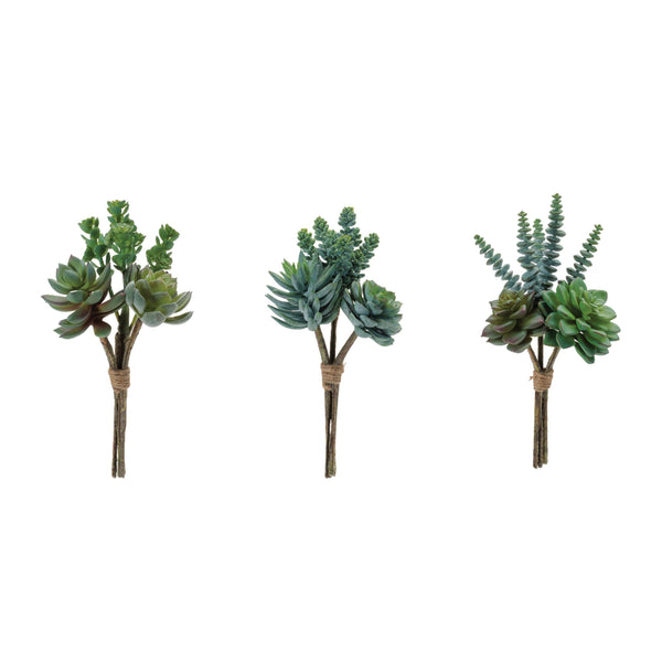 Melrose Succulent Bundle (Set of 6)