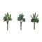 Melrose Succulent Bundle (Set of 6)