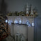 Melrose Snowflake Ekkolight Garland 68"L