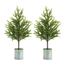 Melrose Potted Mini Pine Tree (Set of 2)