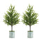 Melrose Potted Mini Pine Tree (Set of 2)