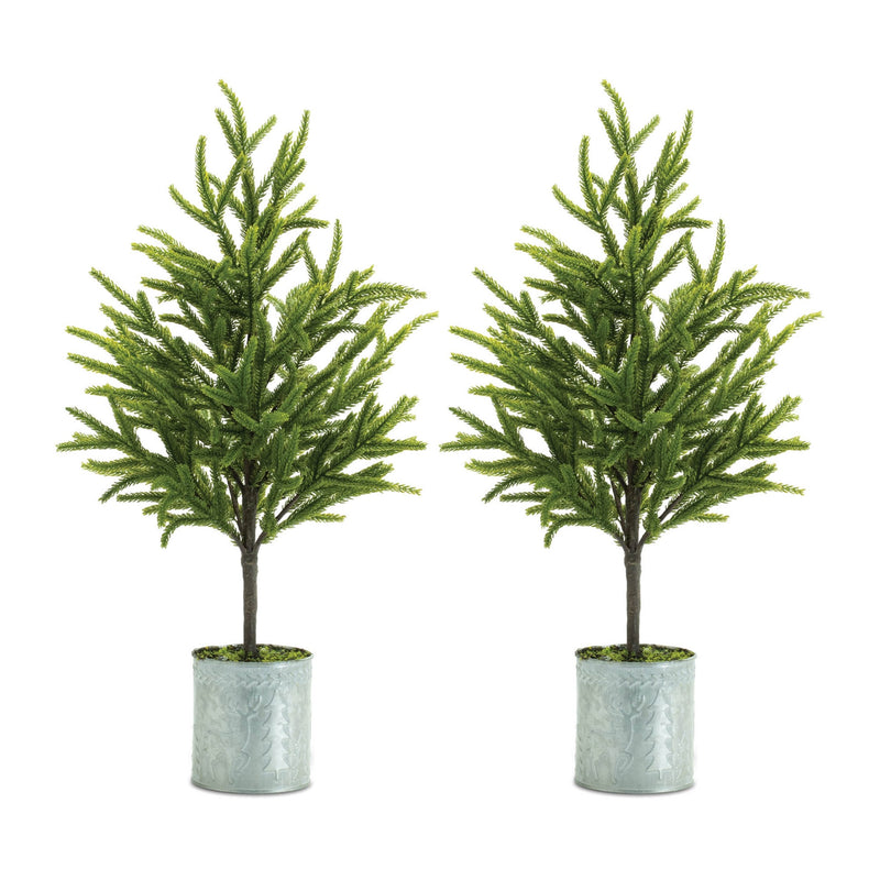 Melrose Potted Mini Pine Tree (Set of 2)