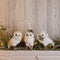 Melrose Winter Owl Figurines – Set of 3