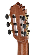 Manuel Rodriguez Exotica EX-SC 4/4 Classical Guitar – Cedar Gloss w/ Armrest