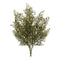 Melrose Cedar Bush (Set of 4)