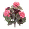 Melrose Geranium Floral Bush (Set of 2)