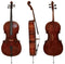 GEWA Walther 11 “Rom Antique” Concert Cello 4/4 – Marko Ackert Design