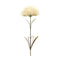 Melrose Puff Flower Stem (Set of 6)