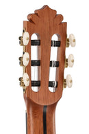 Manuel Rodríguez Tesoro de Camerún Cedar Electro-Acoustic Guitar w/ Case